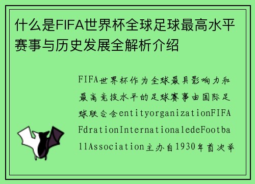 什么是FIFA世界杯全球足球最高水平赛事与历史发展全解析介绍